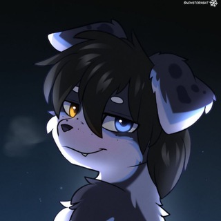 Snowybark❄️🩵 (+18)