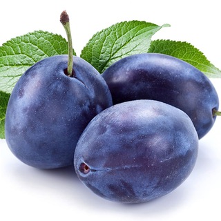 Сливы курсов