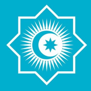 Organization of Turkic States ✔