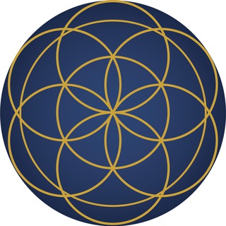 Wellness Hub YYC Board