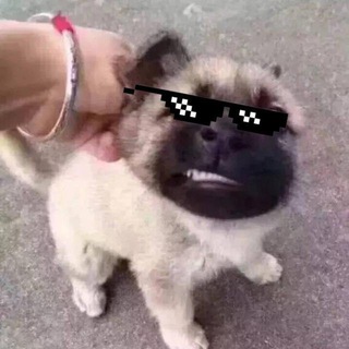 社工库机器人