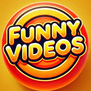 Funny Videos