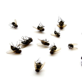 Груз 200. Закрытый показ.