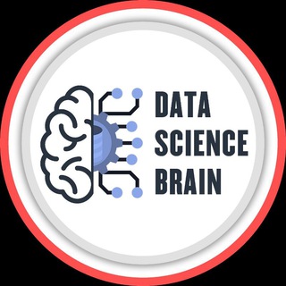Data Science Brain