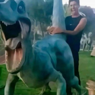 Мемолетчик