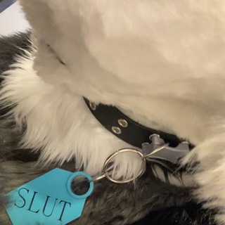 FelixTheAussie’s Links And Info