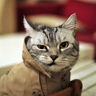 ➔ △ ✙ Аналітика до кінця особливого періоду | #УкрТґ