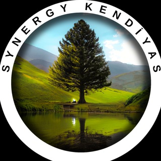 Synergy Kendiyas