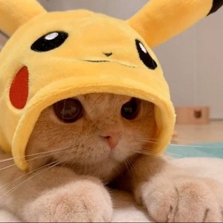 Gatonplay