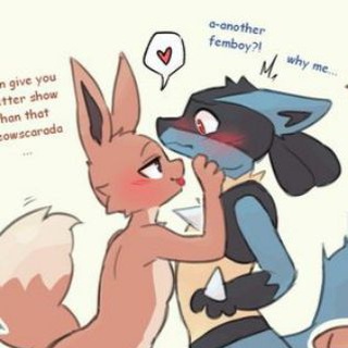 Furry Gays & Femboys 18+