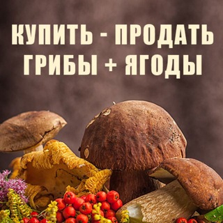 GRIBBERRIES | Купить грибы и ягоды. Скупка грибов и ягод.