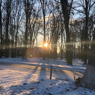 Аркадий Сперма