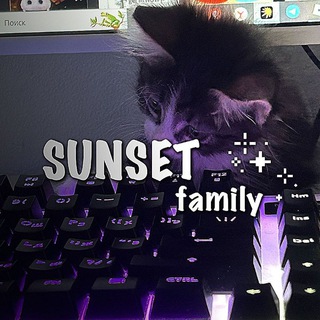 𝒔𝒖𝒏𝒔𝒆𝒕'𝒔 𝒇𝒂𝒎𝒊𝒍𝒚🐾