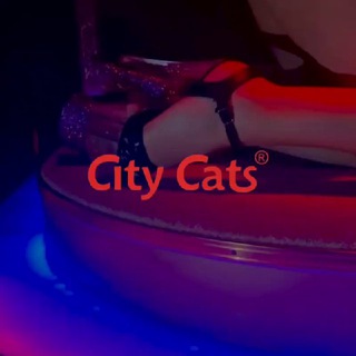 City Cats | Mеn's club | Пермь